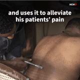 Bee Venom Therapy Popular in Sudan