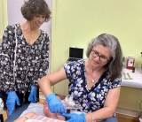 Microneedling’s Eastern and Western Mechanisms for Smoother, Brighter and Stronger Skin