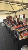 Updated: Pedretti Gaming Reveal Ligabue Pinball