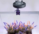 5 Best Cheap Reef LED Lighting On Amazon (2022)