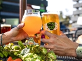 Tilray Brands To Shut Down Production Brewery at Hop Valley Brewing in Eugene, Oregon