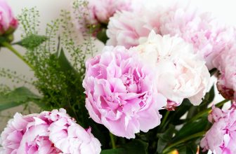 Symptoms I Experienced Post Thyroid Op (Thyroidectomy)