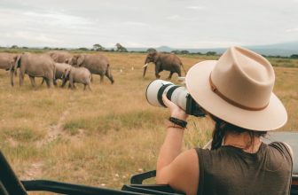 What to expect on an East African Safari?