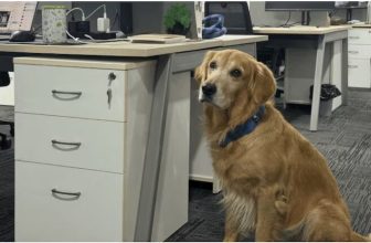 Chief Happiness Officer is Transforming the Corporate Culture in This Tech Startup