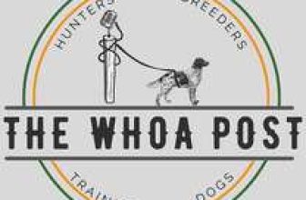 The Whoa Post Interview