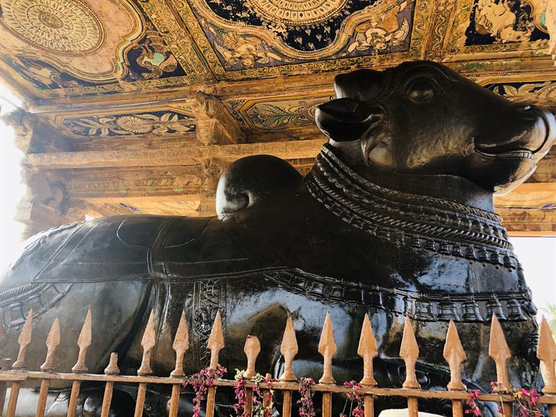 Nandi Tanjavur