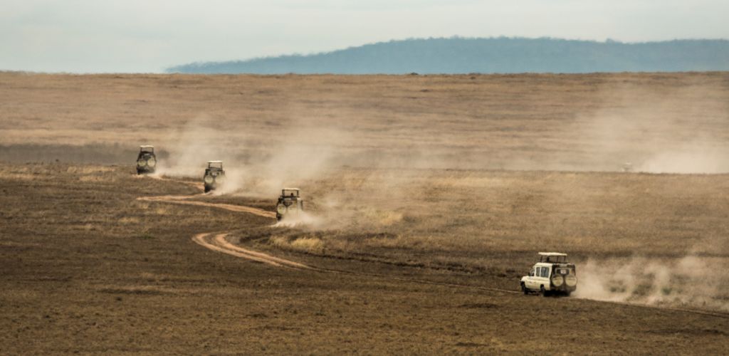 A four safari jeep on the dry field.