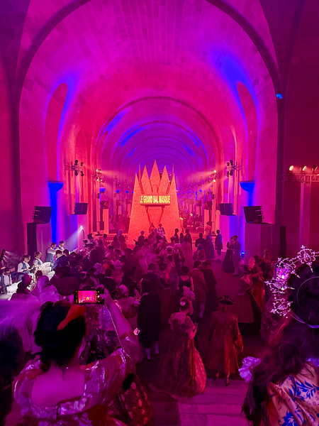 Entering the Grand Masked Ball at Versailles