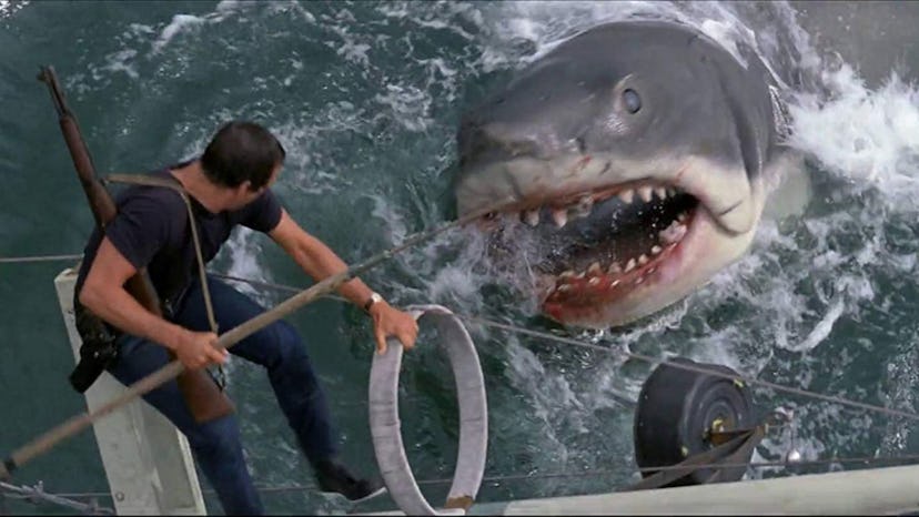'Jaws'