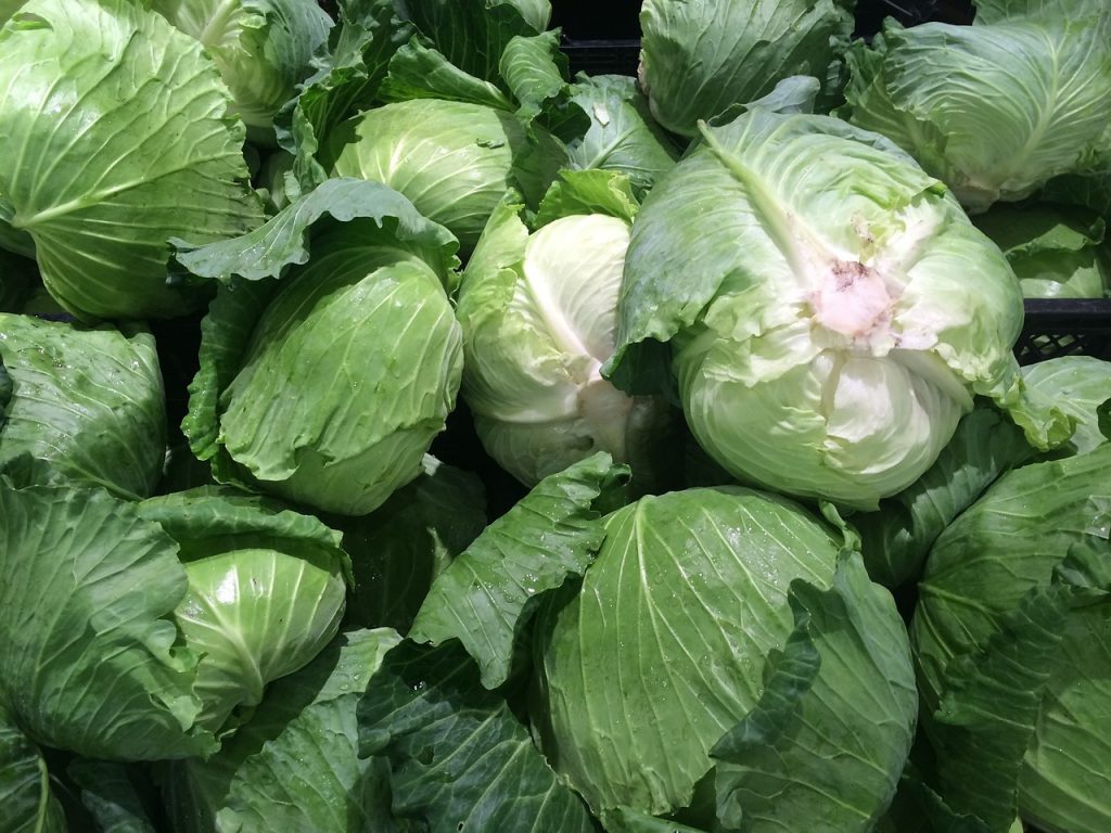 is cauliflower keto keto cabbage