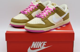 FD8683-700 Nike Dunk Low Just Do It (Women’s)
