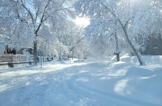 Author Laura Purdie Salas on the Science of Poetry– plus a GIVEWAY! « Lydia Lukidis