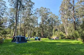 A Review of Mortimer Camping & Picnic Area