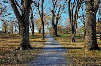 Random Things For The Week I Trail Cooking