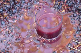 Fresh off the wine press: The ‘other’ nouveau wines bringing joyous revelry in November