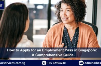 How to Apply for Employment Pass Singapore