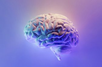 Why Boosting Protein Sox9 May Prevent Brains From Dementia