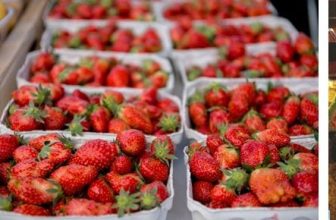 Through the Looking Glass Book Reviews: An (accidental) Book Expotition in Kansas City