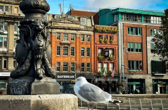 The Ultimate Guide to Visiting Dublin with Teenagers Without a Rental Car