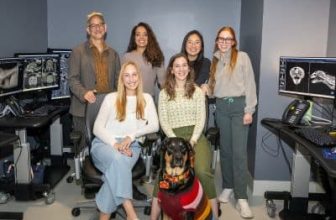 World Radiography Day: Honoring the Veterinary Radiologists Behind Every Diagnosis