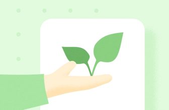 How to support startups after graduation │ Dealum Blog