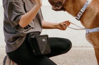 Seven Things to Look for in a Dog Treat Bag*