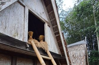 Padi Nyawa Urang – SAPIENS