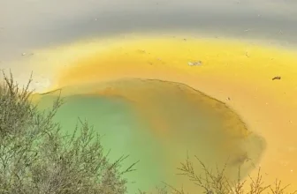 How to BEAT Anxiety — Dr Christian Heim: Preventive Mental Health