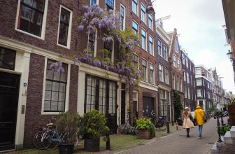 A Day in the Jordaan Neighbourhood, Amsterdam (tips by a local) | Amsterdamian