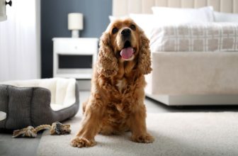 What You Need to Know