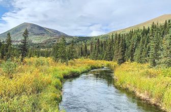 Resurrection Pass Trail Backpacking Route in Alaska