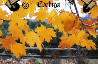 Sept/Oct ’25 EXTRA!