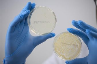 BioInteractions Launches Surface-Active Materials category of medical device coatings