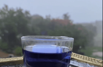 Everything You Need to Know about Blue Tea – Benefits and Side Effects | Panda Reviewz