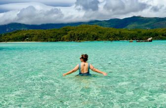 A Guide to the Seasons