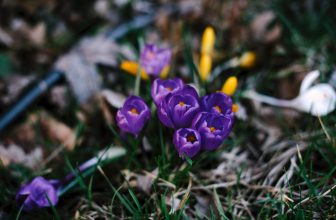Announcing the 2025 HeArt of Black Leadership for Philly Leaders – Rockwood Leadership Institute