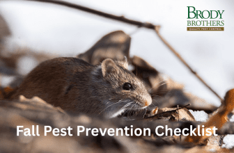 Fall Pest Prevention Checklist for Maryland Homes
