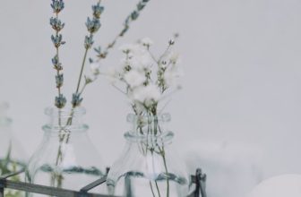 Six Months Postpartum: Too Soon to Know Who I Am Now – The Mama Perspective