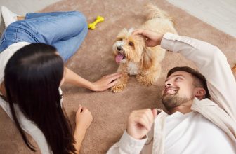The Best Dogs for Apartments: What to Know