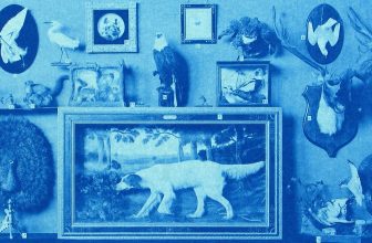 In Praise of Confusion and Rewilding Wonder – The Marginalian