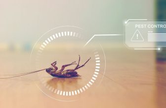 What to Watch For This Winter