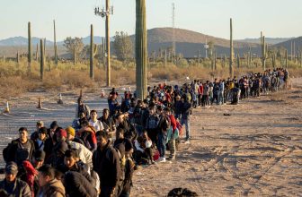 Immigration Gone Wild – Activist Post