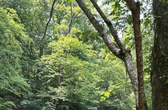 Formed By The Word And Spirit: A Spiritual PSYOP?