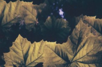 Low Light Mixes: Pluvial Scansion