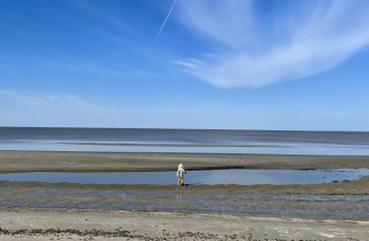 A Review of 2024: The Year It Started to Make Sense