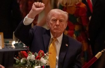 Trump announces strikes against ISIS in Nigeria and wishes MERRY CHRISTMAS to ‘dead terrorists’ he claims are targeting Christians