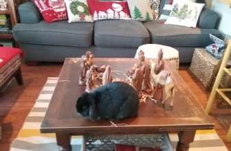 Dasher the Christmas Bunny: A Children’s Christmas Story