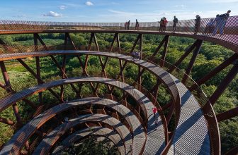 The Best Treetop Walks In The World