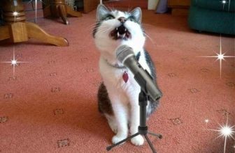 December giveaway x1 £10 Amazon Voucher (UK Only)