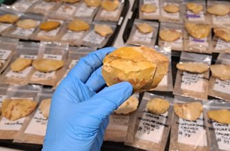 Archaeologists Unearth Cache of Aboriginal Stone Tools Buried in Australia 170 Years Ago